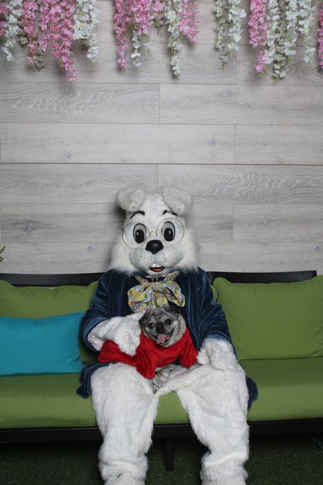 Original BKZDTQKD_007.jpg